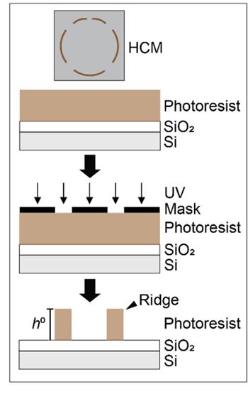 HCM Fabrication Procedure