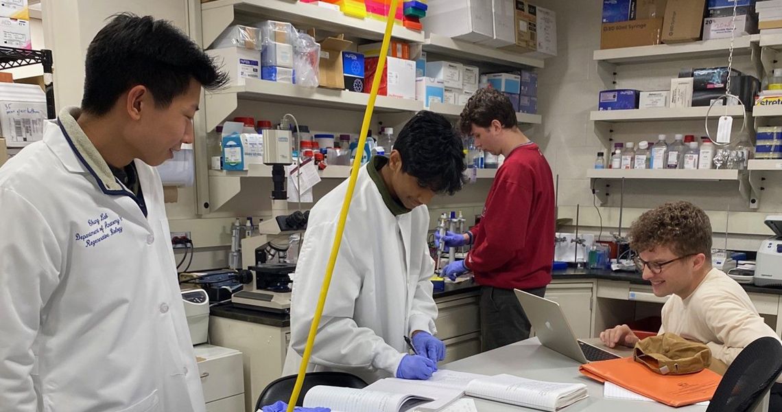 interns working in the lab