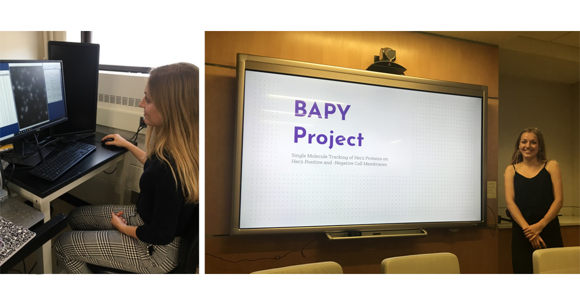 Bapy Project