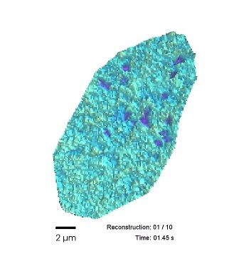 Membrane Biophysics