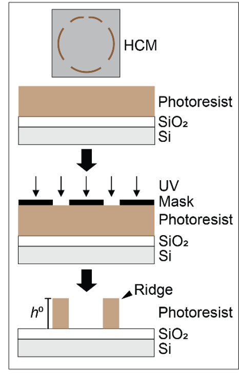 HCMI diagram