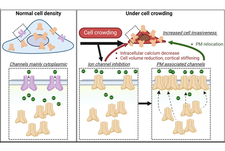 Publications at the Chung Lab