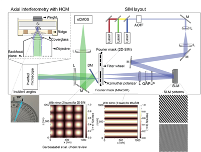 Axial interferometry with HCM
